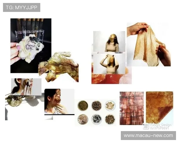 皇家平台带来的巨大冲击：新时代网络文化的探讨与反思