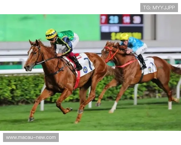 澳门宣布4月暂停赛马比赛，预计对博彩业和旅游业产生一定影响