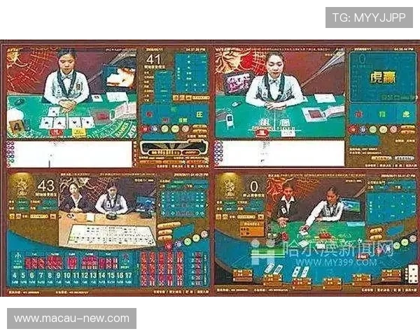 六合彩游戏官网用户评价与口碑分析，选择最值得信赖的官方平台保障您的权益