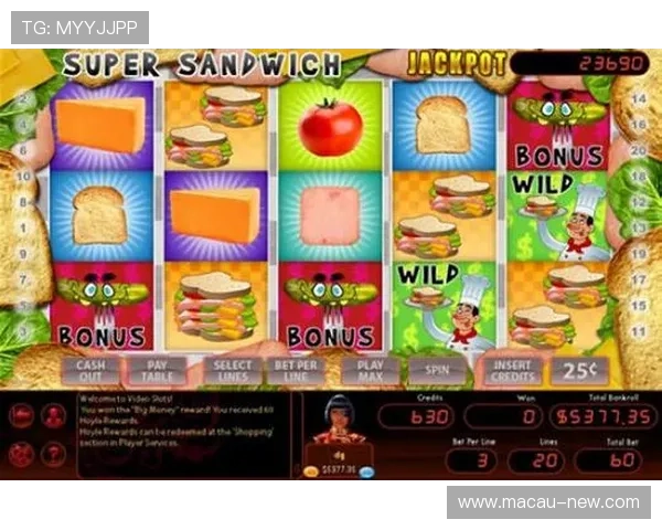 多福多财角子机的基本规则与玩法技巧全面解析助你提升游戏胜率和娱乐体验