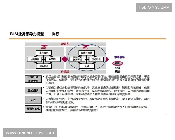 澳门新博亚娱乐有限公司在数字化转型中的战略布局与实施路径