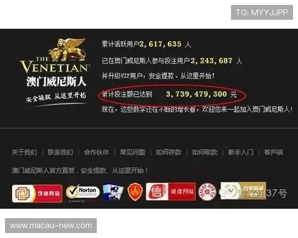 澳门新葡京网站登录安全策略，保障玩家个人信息与资金安全
