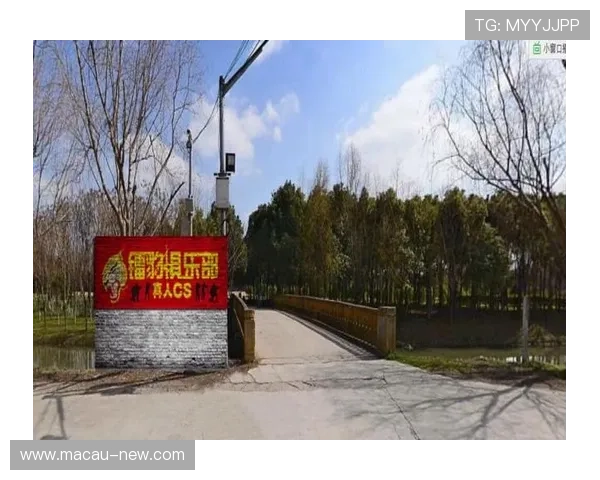 澳门真人娱乐体验指南带你了解最真实的游戏环境与优质服务